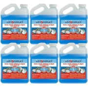 WET & FORGET US NZ LP 800003 Moss, Mold & Mildew Stain Remover, 1/2-Gal. - Quantity 6