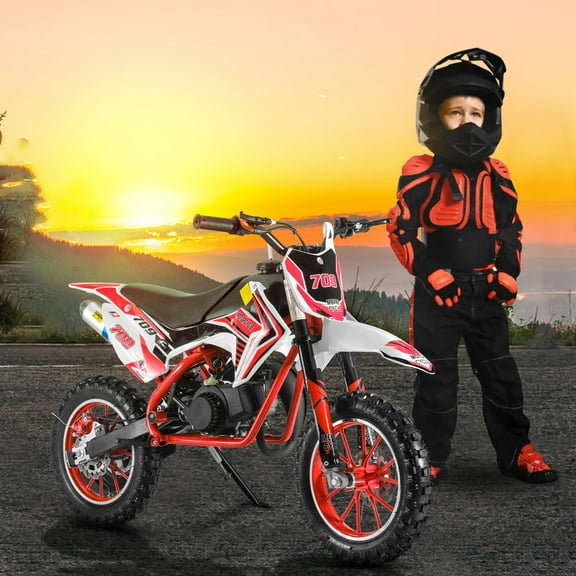 WETS Kids Mini 49CC Gas Dirt Bike, 2 Stroke Ride on Bike with Off-Road Tire, Shocks, Pull Start, Oil Mixed Required, Support Up to 330lbs