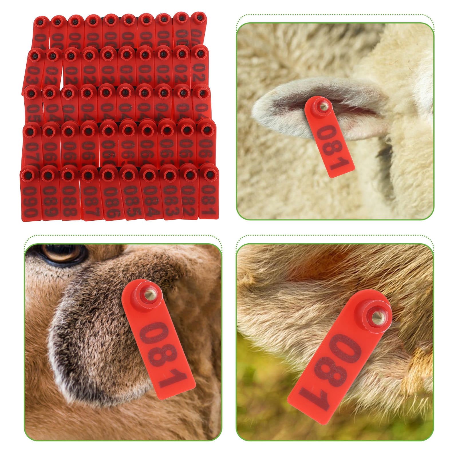 M.Z.A Cattle Ear Tags Numbered Ear Tags For Sheep Cows Goats Pigs Animal Calf Livestock Ear Tag 001 100 Green