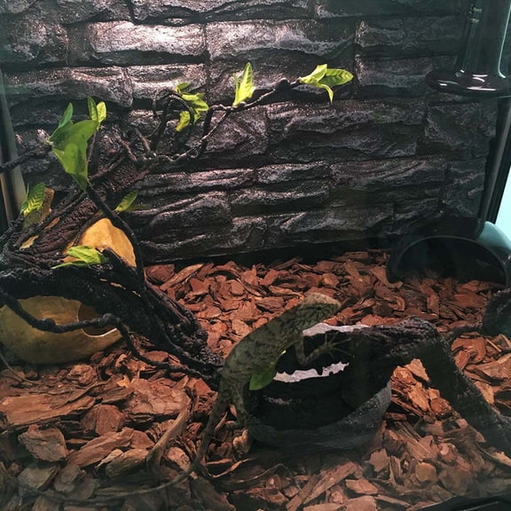 WEUVEB 1PC Reptile Climbing Branch Rattan Toy Dark Brown Natural Lizard Aquarium Decoration