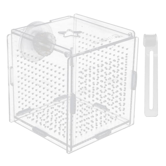 WEUVEB 1Set Fish Tank Hatching Box with Transparent Cover for Reliable Aquarium Fish Protection