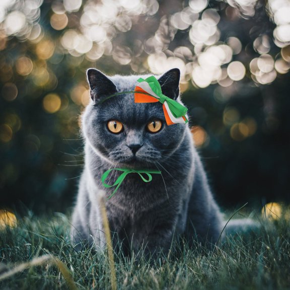 WEUVEB St Patrick's Day Pet Costume Set, Assorted Color Skirt and Headband for Dogs and Cats, Holiday Pet Party Outfit Decor