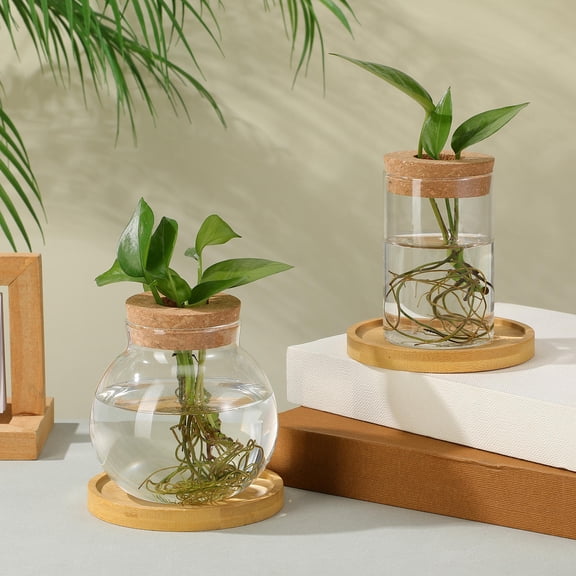 WEUVEB 2Pcs Transparent Glass Planter Terrariums for Indoor Decoration and Plant Propagation