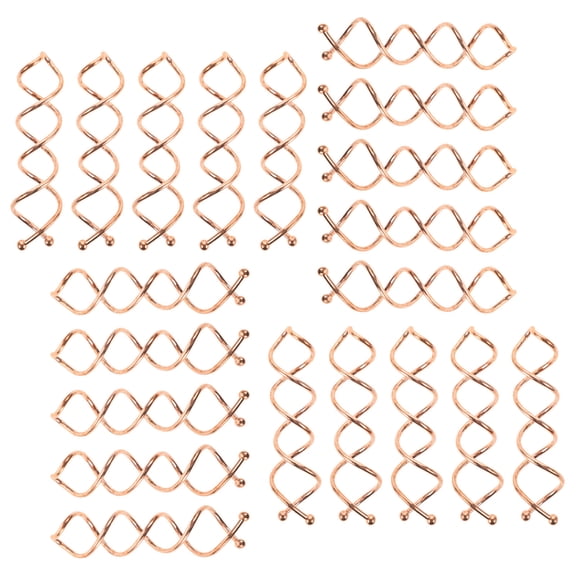 WEUVEB 20Pcs Spiral Hair Clip Rose Plated Gold Color Easy Application Hair Decoration for Personal Use