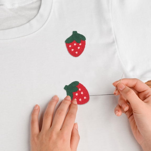 WEUVEB 20Pcs Decorative Sew on Fruit Embroidery Patches for Clothes Jackets and Backpacks