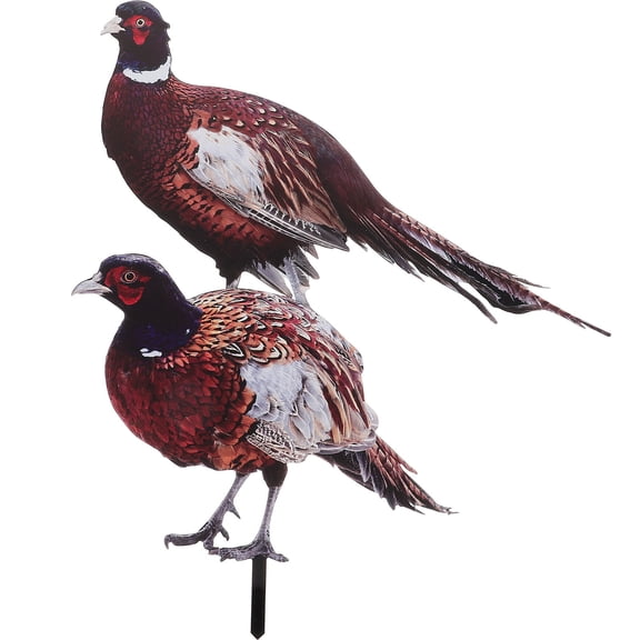 WEUVEB 2Pcs Acrylic Pheasant Garden Stake for Outdoor Garden Decor 11.59X9.82X0.12in