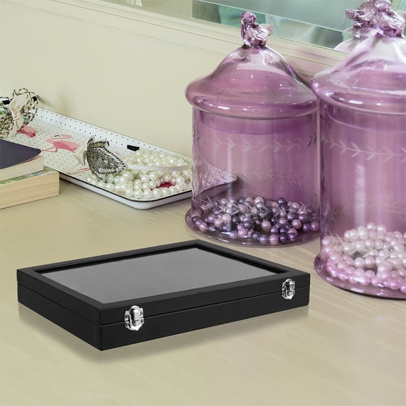 WEUVEB 2-Pack Seashell Display Cases with Stylish Black Plastic Frame for Collectible Storage and Decorative Home Use