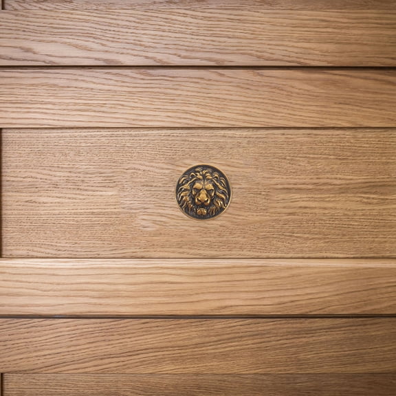 WEUVEB 3pcs Round Kitchen Knobs Lion Head for Home Decor Furniture