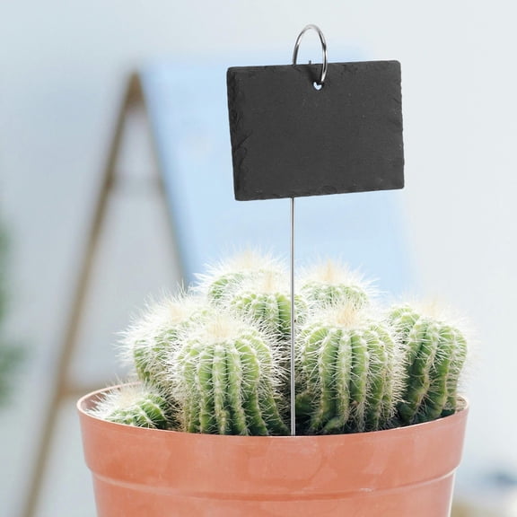 WEUVEB 4Pcs Garden Plant Markers Slate Labels Assorted Color Easy Insert Durable for Outdoor Use