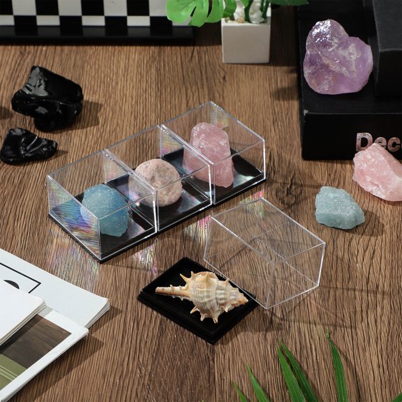 WEUVEB 4Pcs Specimen Display Box Transparent Storage Container for Mineral Samples and Tools