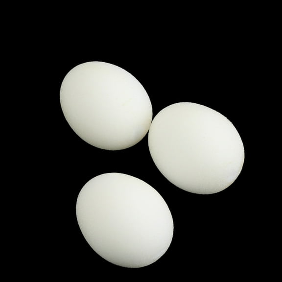 WEUVEB 6Pcs White Sponge Eggs Illusion Props for Magician Accessories and Party Trick Shows