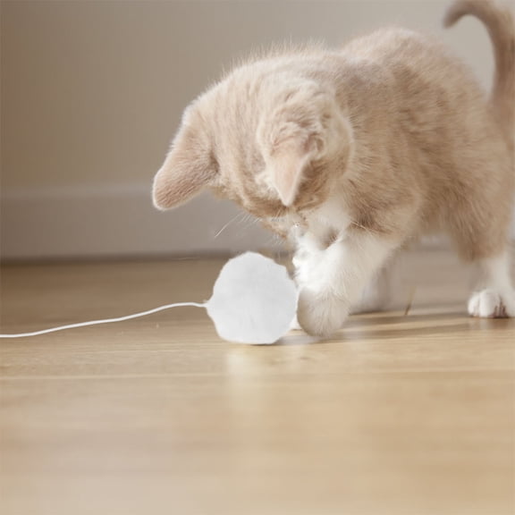 WEUVEB 9Pcs Durable Cat Plush Balls for Indoor Pets with Hanging Sisal Teaser Feature