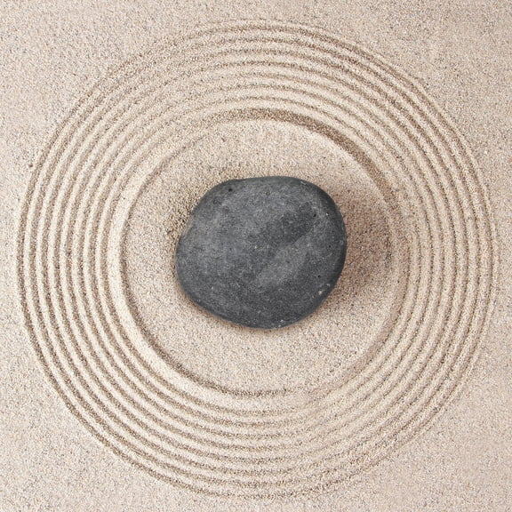 WEUVEB 9Pcs Flat Rocks for Painting and Garden Landscaping