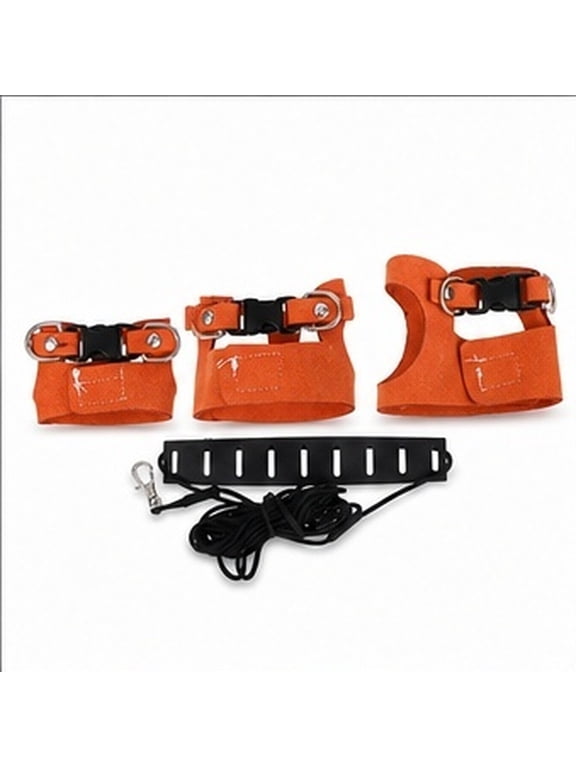 Coffee Adjustable Small Animal with 2m Leash for Outdoor Walking and Training SML