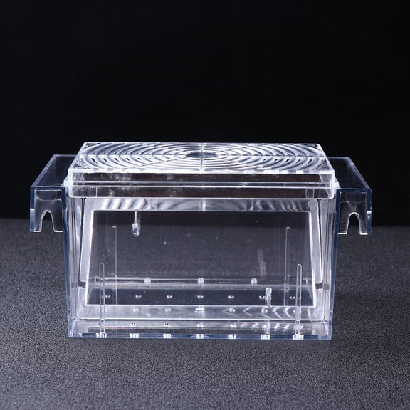 WEUVEB Fish Isolation Box Acrylic Practical 1Set for Fish Tank Owners