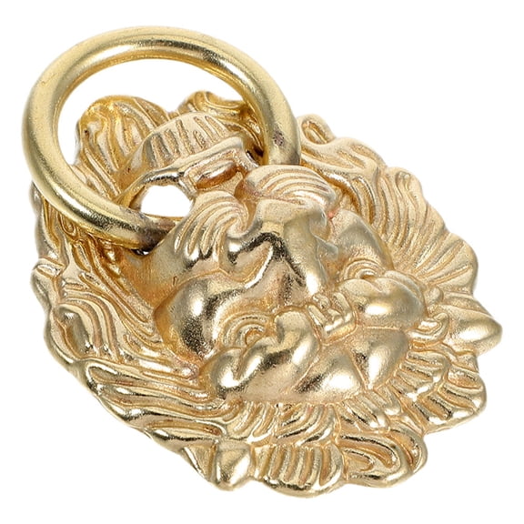 WEUVEB Brass Lion Door Vintage Style Solid Metal Front Door Decor for Home