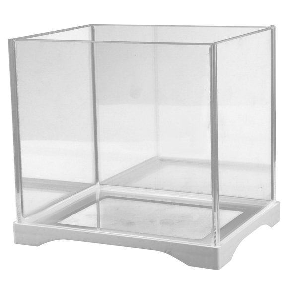 WEUVEB Glass Cube Terrarium for Small Fish and Hydroponic Plants Decor