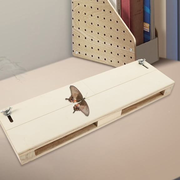 WEUVEB Insect Pinning Board 32x12.5cm for Butterfly Wing Spreading and Specimen Display, Assorted Colors, 1 Pack for Entomology Use