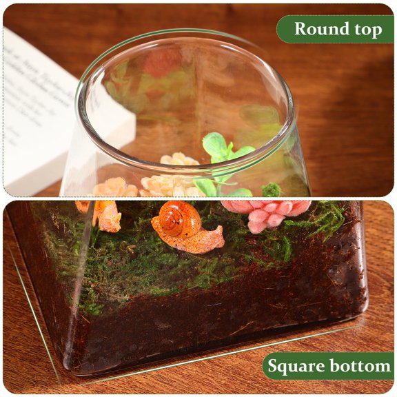 WEUVEB Micro Landscape Glass Pot Without Lid for Displaying Moss and Small Plants