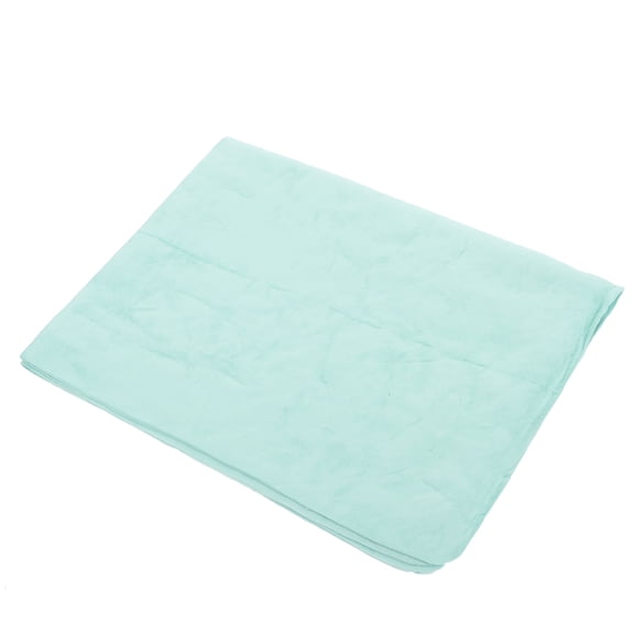 WEUVEB Portable Light Green Car Drying Towel Absorber Cloth for Cars Motorcycles and Boats