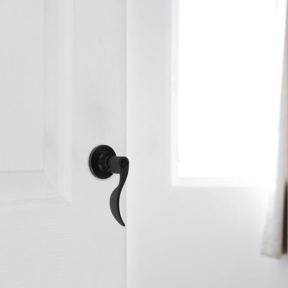 WEUVEB Stainless Steel Door Lock for Home and Residential Security, 1 Piece Lock for Doors