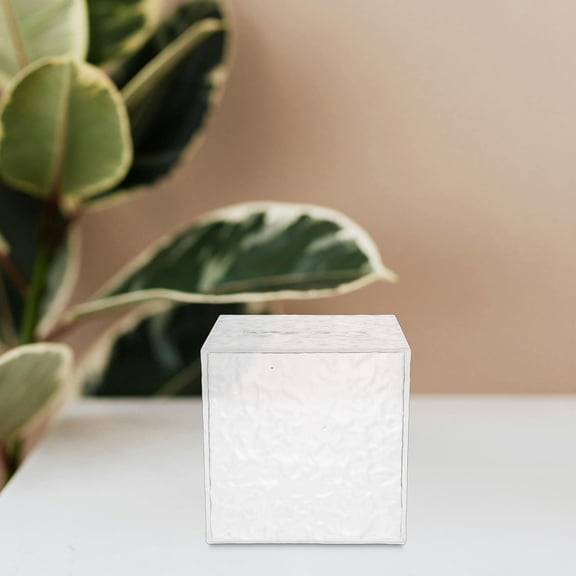 WEUVEB Transparent Acrylic Jar for Adults, Savings Box with Must Break to Open Feature, Storage Container 1 Set