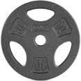 thumbnail image 1 of WF Athletic Supply Cast Iron 1-Inch Standard Grip Plate for Strength Training, Muscle Toning, Weight Loss & Crossfit - Multiple Choices Available, 1 of 7