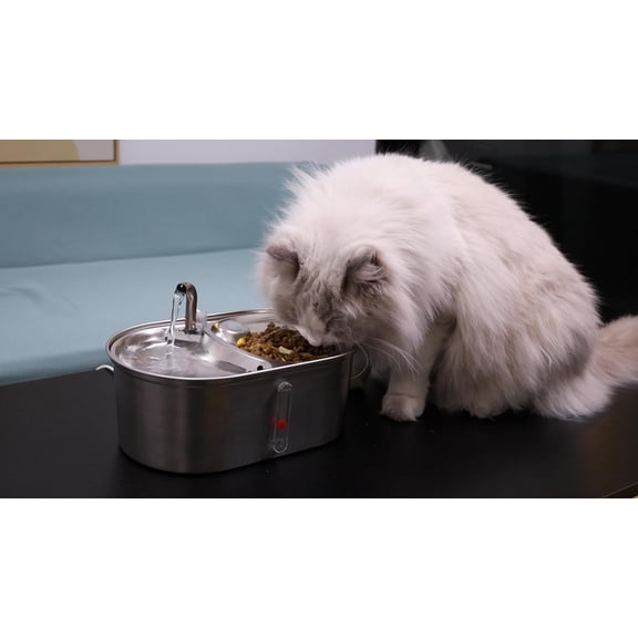 WF140 Cat Water Fountain Food Bowl Stainless Steel 2 in 1 with 8 PCS Filters, 101oz/3L Automatic Pet Water Fountain