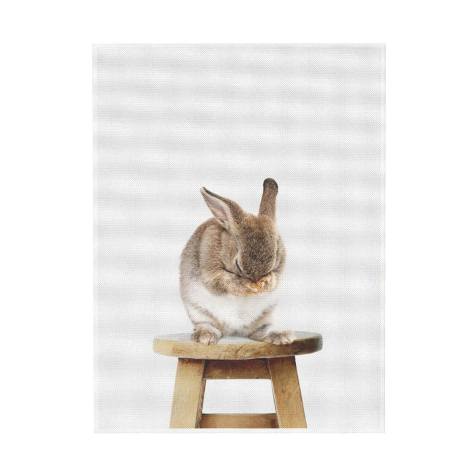 Natural Wood Framed Shy Bunny Rabbit Canvas Print, 18x24