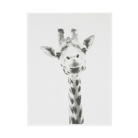 WFSposter Giraffe Animal Print Black and White Portrait Framed Canvas Wall Art by Interesting People，Children Cute Room Decoration Canvas Poster
