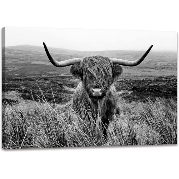WFSposter Highland Cow Wall Art Black and White Animal Wall Decor Canvas Cow Picture Highland Cow Prints Paintings Framed for Living Room Bathroom (12x16 inch)