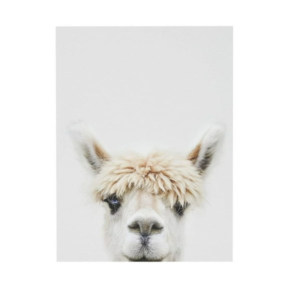WFSposter Kate and Laurel Sylvie Alpaca vintage Canvas Wall Art, Natural Blocking Decorative Animal Art
