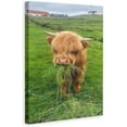 thumbnail image 1 of WFSposter Wild Animal Wall Art Decor Cute Baby Highland Cow Eating Wildlife Wall Art Poster Best Gift for Yourself And Friends Modern Family bedroom Decor Posters Framed Ready to Hang 12x18 inchs, 1 of 6