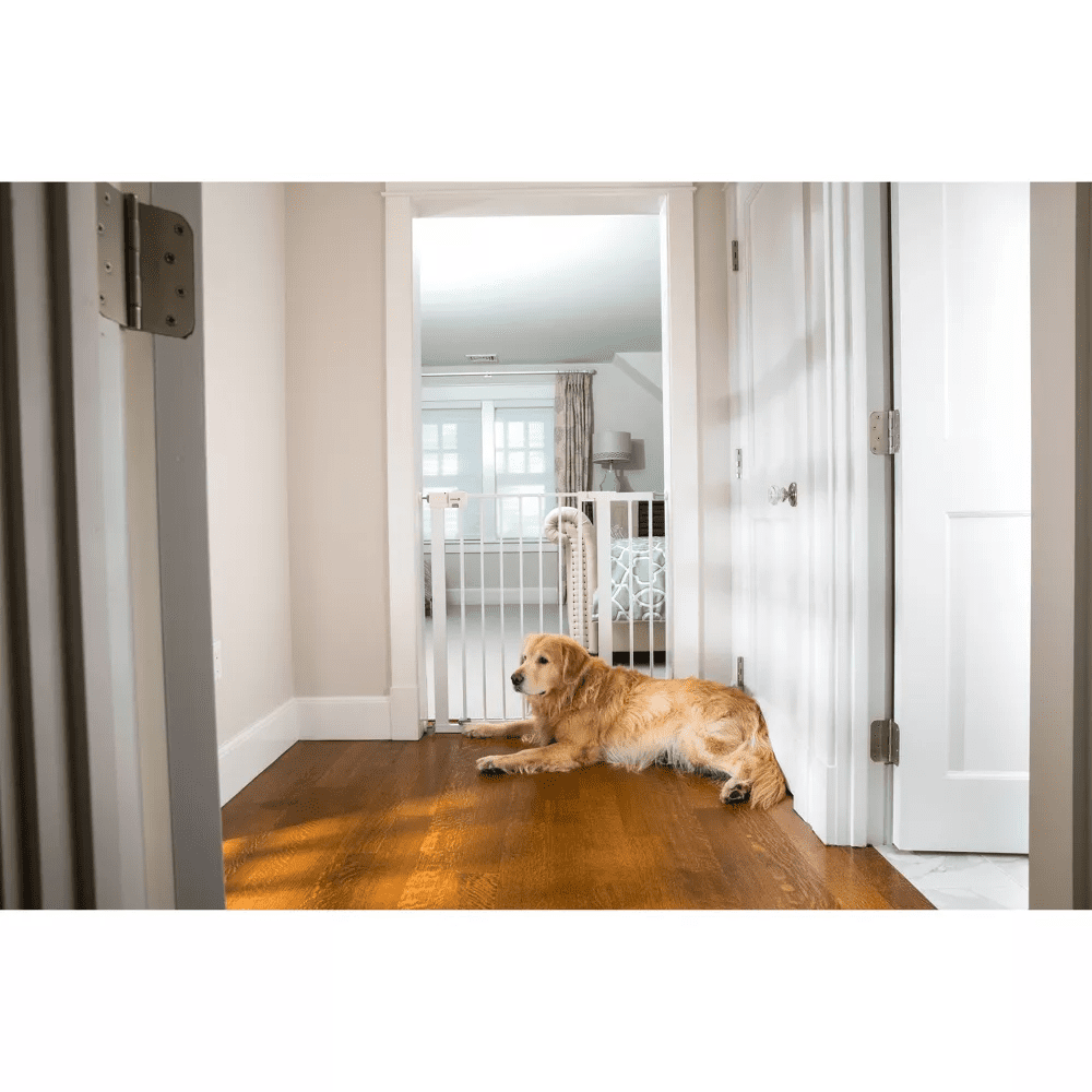 WG Portable Folding Picnic Table with Bench Storage for Tailgating