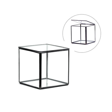 WGV Black Box With Lid Geometric Glass Terrarium - 5" Wide x 5" Height, Good quality Terrarium - 1 Pc