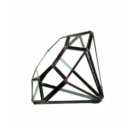 WGV Black Diamond Geometric Glass Terrarium - 5" Wide x 6" Height, Good quality Terrarium - 1 Pc