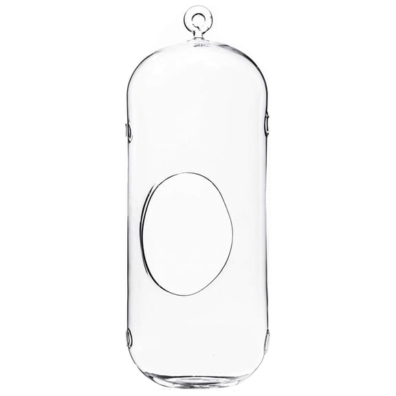 WGV Hanging Glass Plant Terrarium, Width 5", Height 13", Lantern DIY Air Planter Clear Tea Light Votive Candle Holder, Wedding Event Office Home Outdoor Decor, 1 Piece