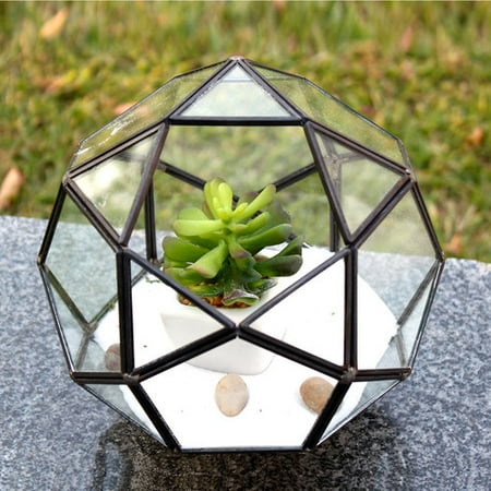 WGV International Icosidodecahedron Glass Terrarium