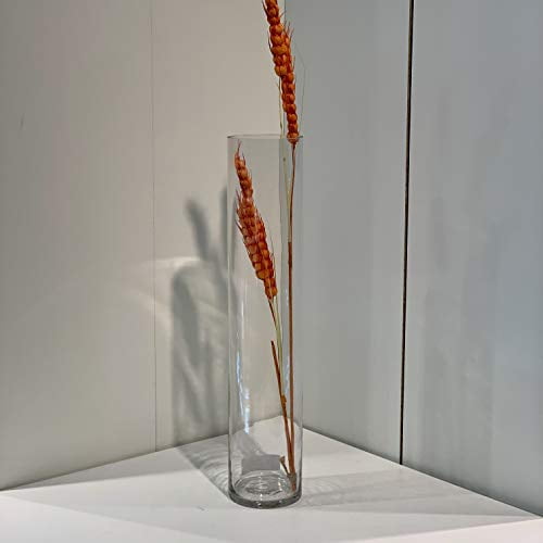 WGVI Quality Thick Weighted Tall Clear Cylinder Glass Vases, 4" W x 20 ...
