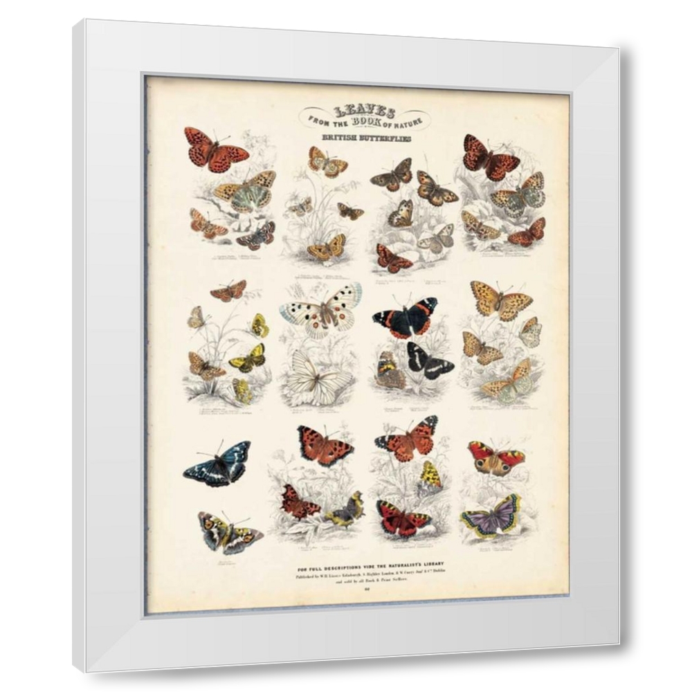 WH Lizars 4x14 White Modern Wood Framed Wall Art Titled British