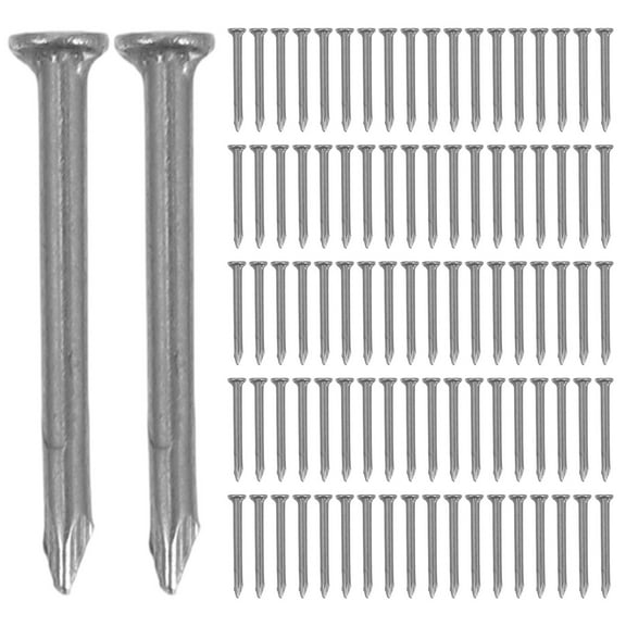 WHAMVOX 1 Bag Cement Nails Stainless Steel Concrete Nails Point Tip Nails Assorted Nails Small Nails Finishing Nails Assorted Nails Nails Kit Point Tip Nails
