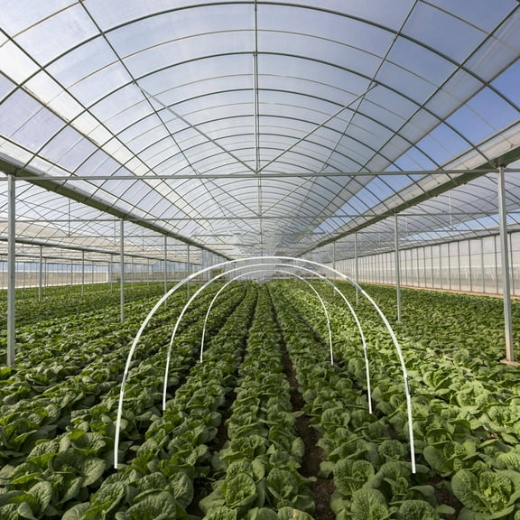 WHAMVOX Greenhouse Shed Support Racks Set, Curved Gardening Hoop Frame for Plant Holding and Greenhouse Structure
