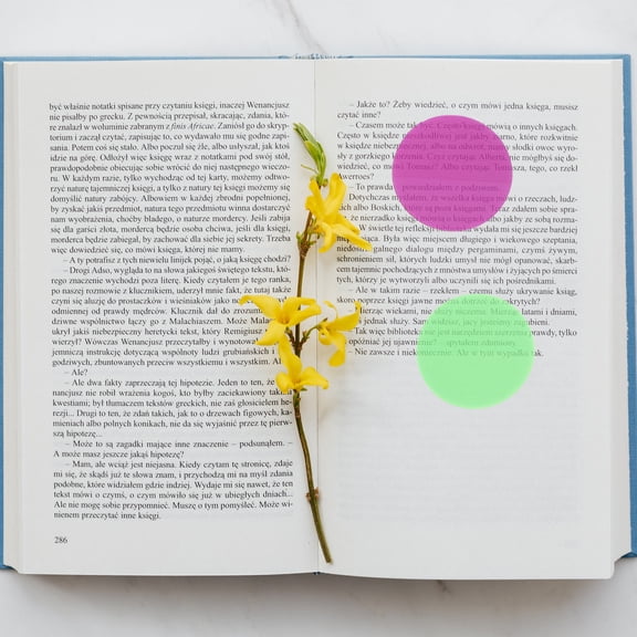 WHAMVOX 1 Set Multi-function Note Pads Adorable Memo Pads Portable Round Note Stickers