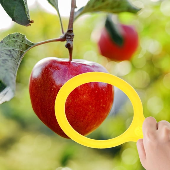 KHBUAB Fruit Measuring Ring Assorted Color For Traders 1Set