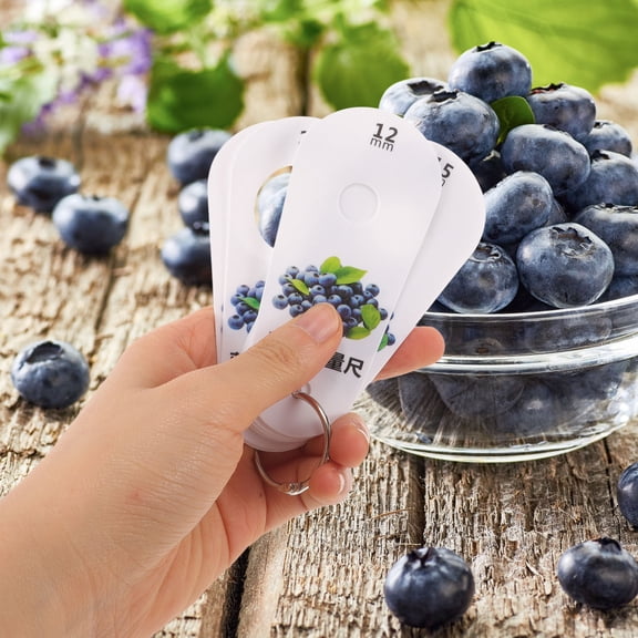 WHAMVOX 1 Set of Cherry Diameter Measuring Ruler Fruit Blueberry Measure Ruler Blueberry Diameter Measuring Ruler