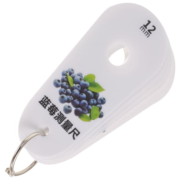 WHAMVOX 1 Set of Fruits Blueberry Measuring Device Fruits Measuring Ruler Tool Blueberry Classification Measuring Ruler