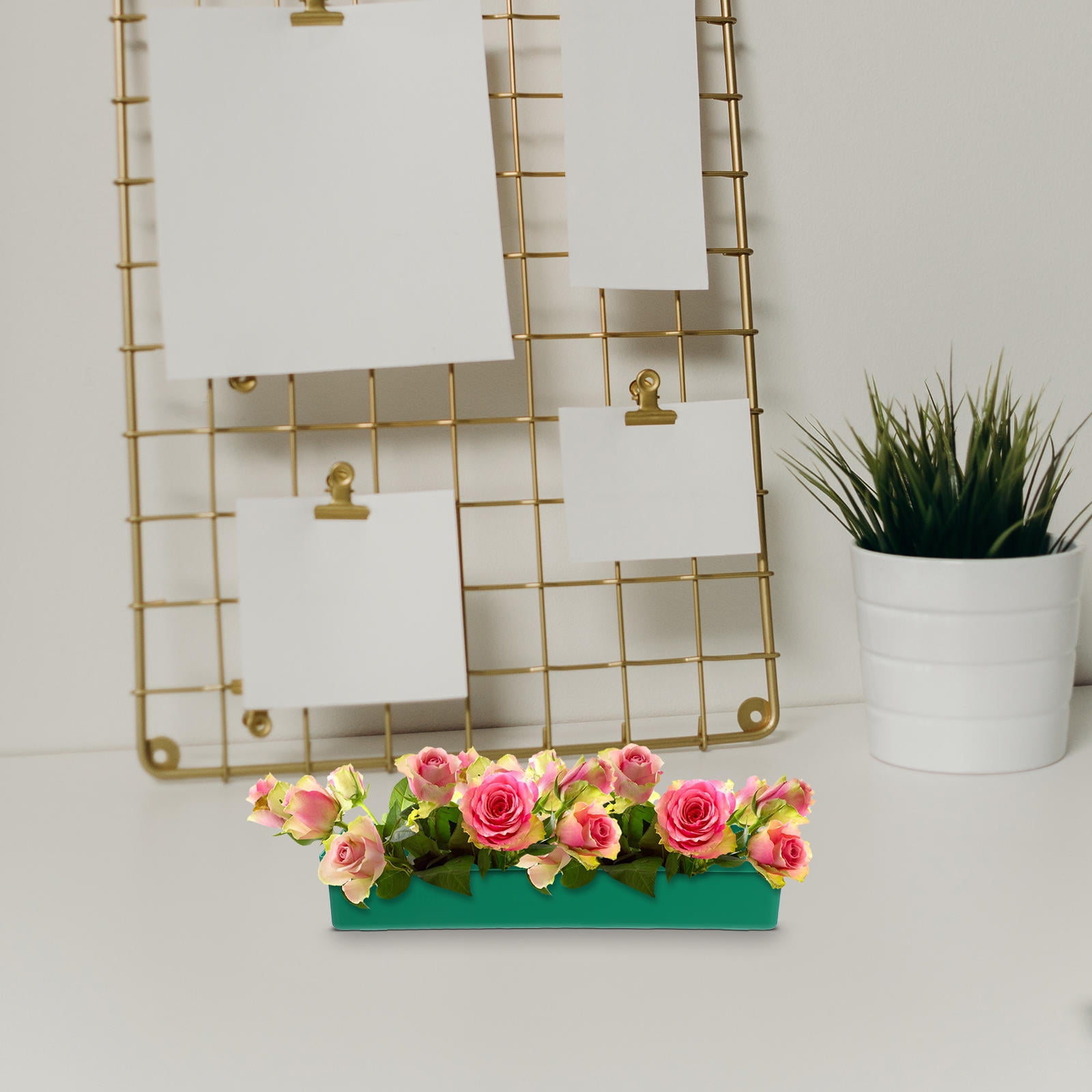 WHAMVOX  10 Pcs Flower Arrangement Base Arranging Pin Plate