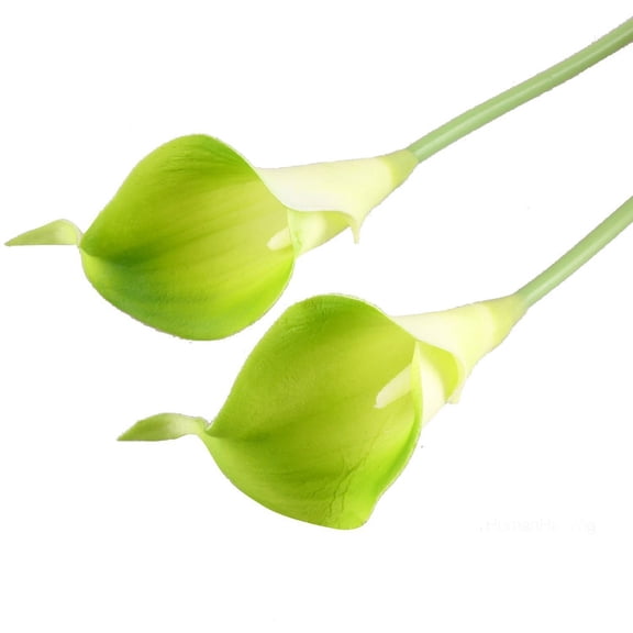 WHAMVOX 10 Pcs Lily Artificial Simulation Calla Real Touch Flowers Bride Baby