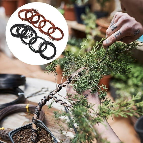 WHAMVOX  10 Pcs Plant Training Wire Bonsai Tree Braided Aluminum