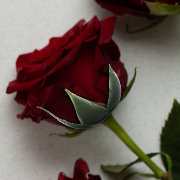 ROMANSENTIAL Durable Plastic Flower Sepals for Plant and DIY Flower Arrangements 100Pcs